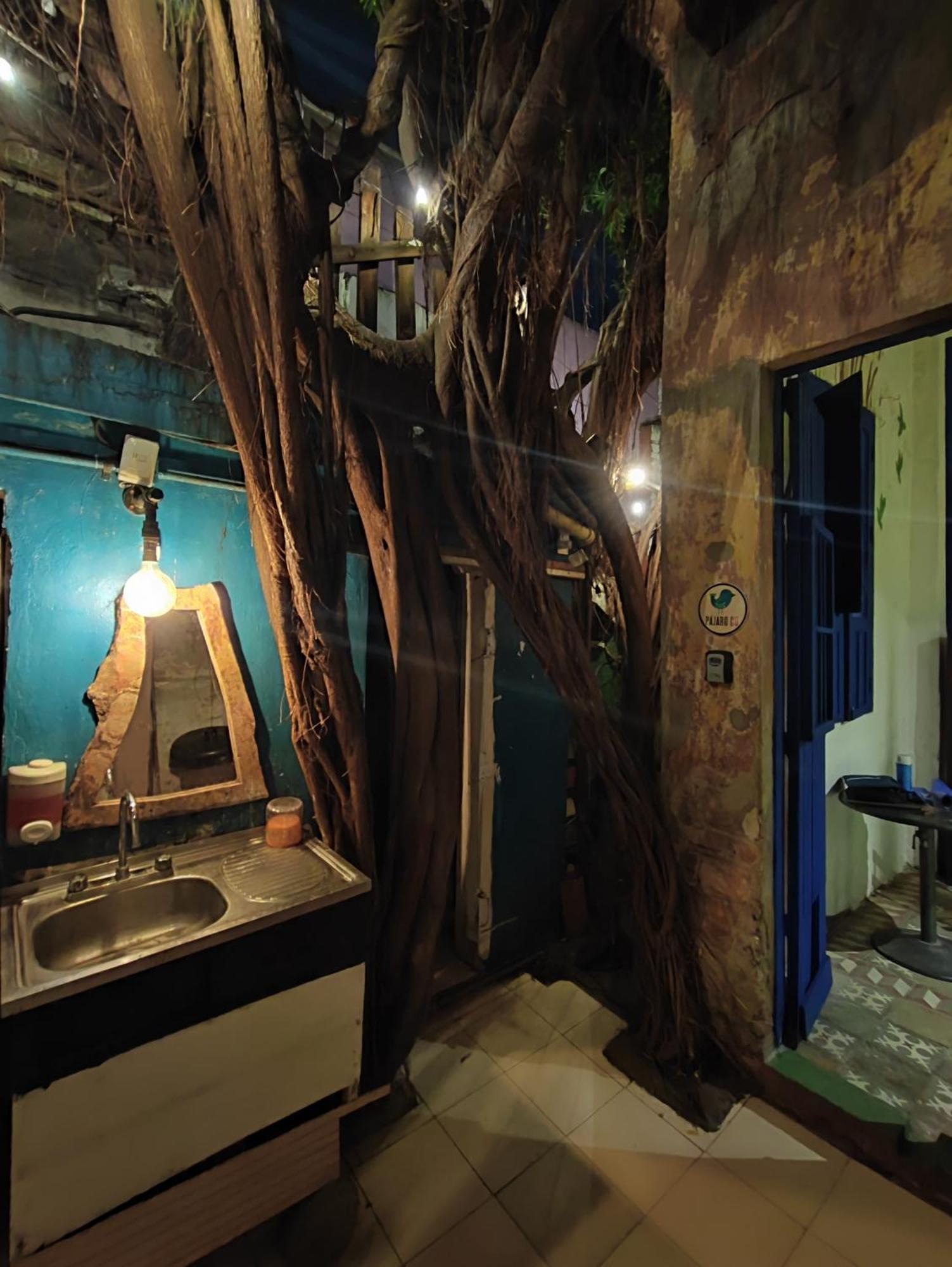 Hotel Chuchumbé Cultural&café